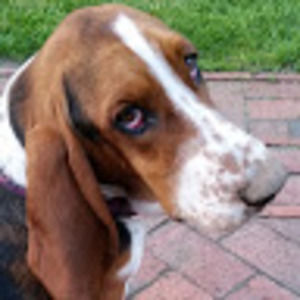 Meet your Posher, Isabel